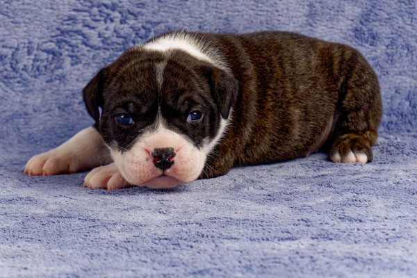 Uta - drei Wochen alt