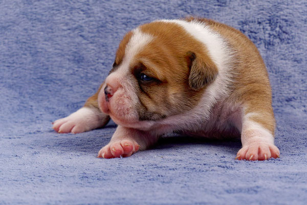 Timo - mit zwei Wochen