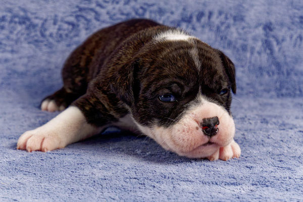 Uta - drei Wochen alt