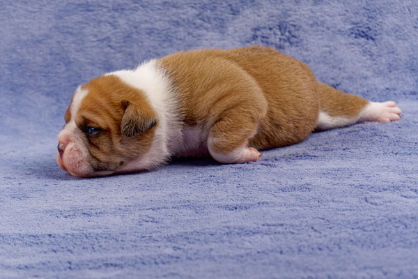 Timo - mit zwei Wochen