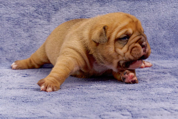 Tina - mit zwei Wochen