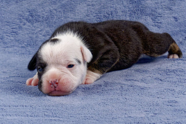 Uri - zwei Wochen alt