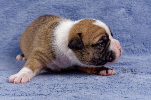 Urano - zwei Wochen alt