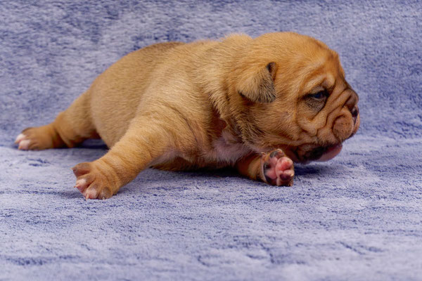 Tina - mit zwei Wochen