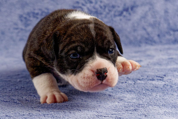 Uta - drei Wochen alt