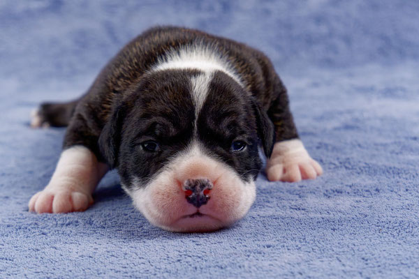 Uta - zwei Wochen alt