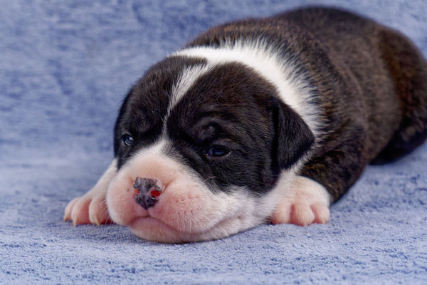 Uta - zwei Wochen alt