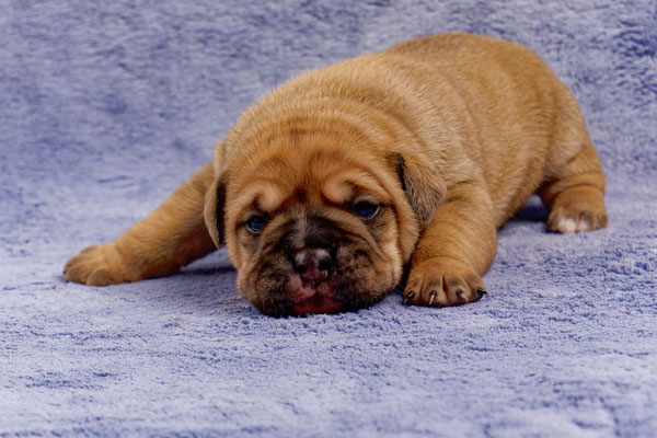 Tessa - mit zwei Wochen