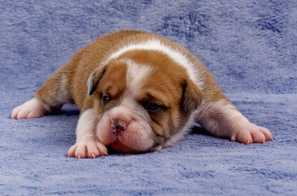 Timo - mit zwei Wochen