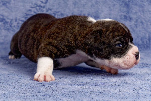 Uta - drei Wochen alt