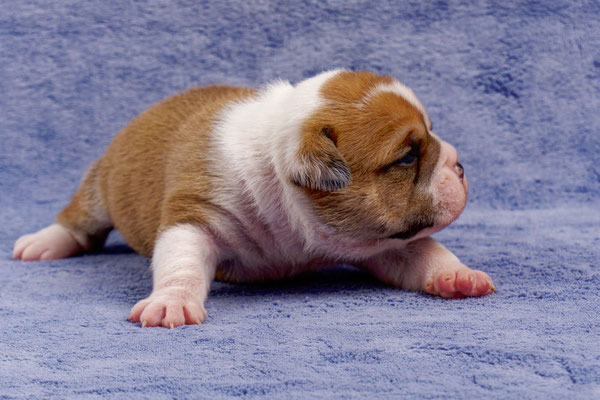 Timo - mit zwei Wochen