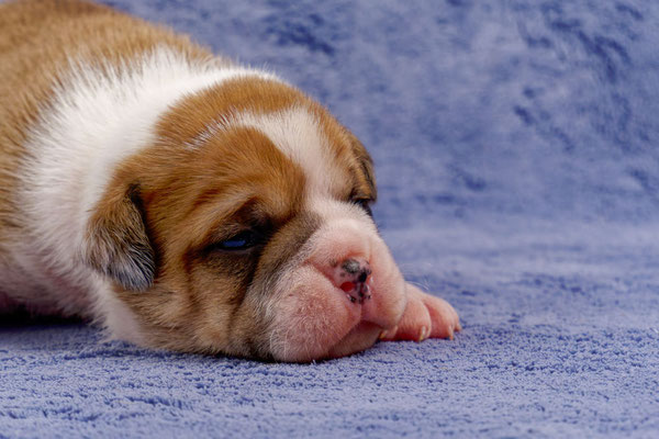 Timo - mit zwei Wochen