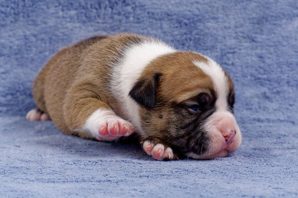 Urano - zwei Wochen alt