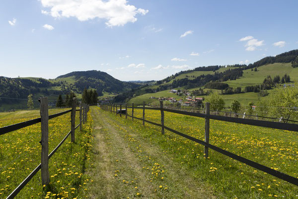 Panoramaweg bei Missen