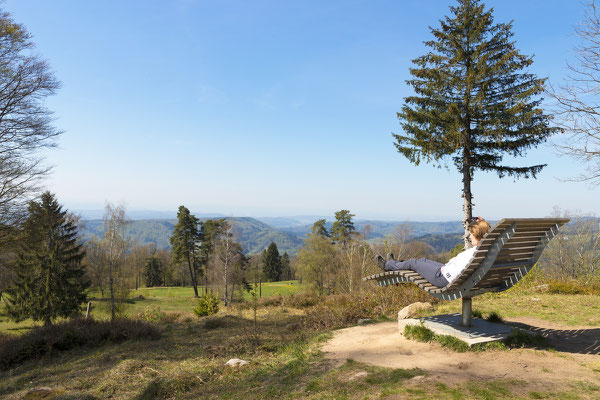 Rast auf dem Rümmelesbühl