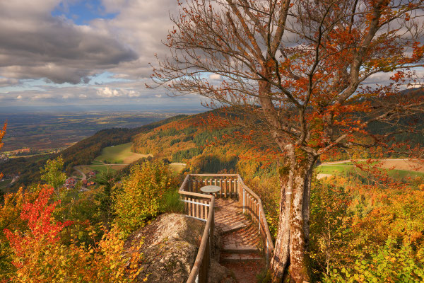 Blick über die Aussichtskanzel des Brigittenschlosses