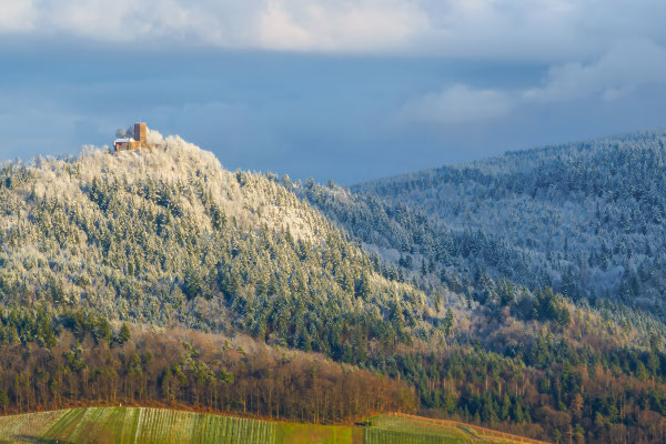 Winterlicher Blick auf die Yburg im Schwarzwald
