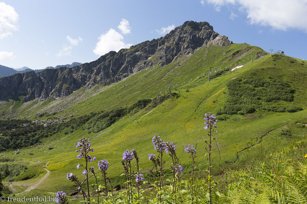 Panoramaweg zwischen Kanzelwand und Fellhorn