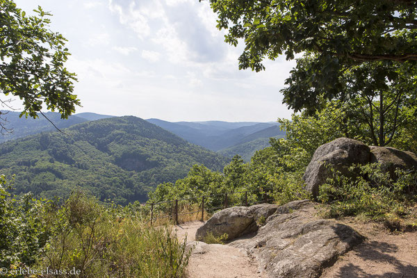 Ausblick vom Rocher Sainte Richarde über das Tal der Andlau