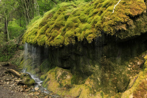 Moosdusche oberhalb der Wutach