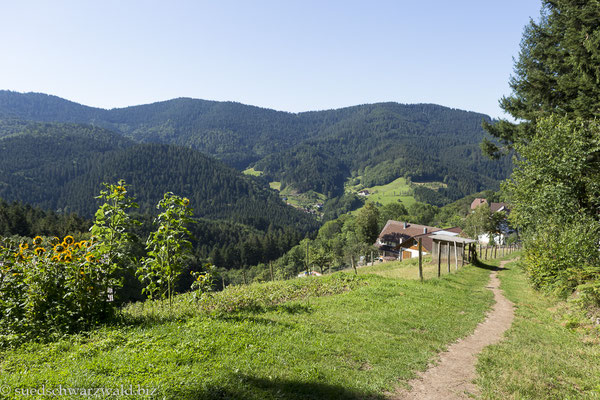 Idylle unterhalb des Himmlischen Rastplatzes am Himmelssteig