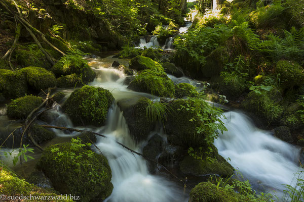 Buselbach oberhalb des Unteren Wasserfalls