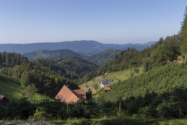 Schwarzwaldlandschaft bei Oppenau