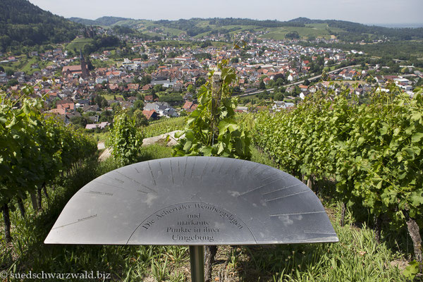 Ausblick über die Achertäler Weinberge