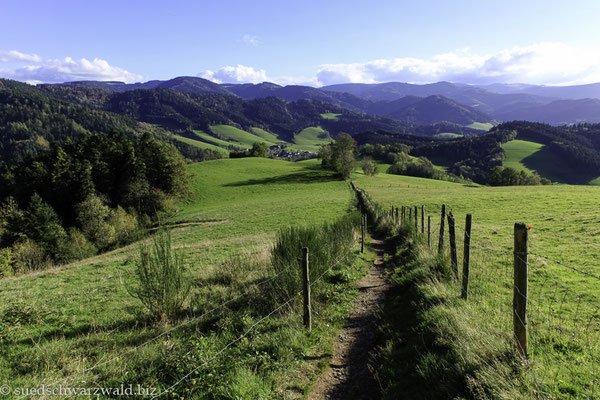 Blick vom Lindenberg über das Ibental