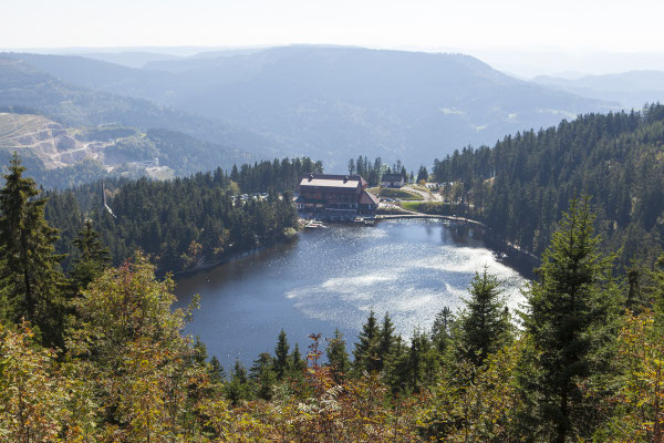 Blick von der Hornisgrinde auf den Mummelsee