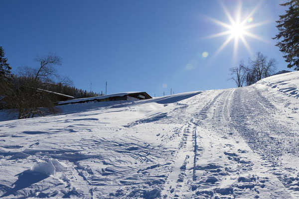 Aufstieg zur Krunkelbachhütte