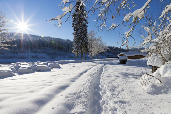 Winteridylle am Schluchsee