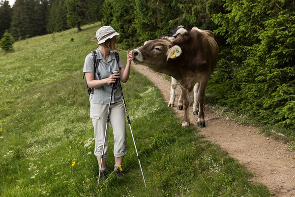 Tierische Begegnung am Toten Mann