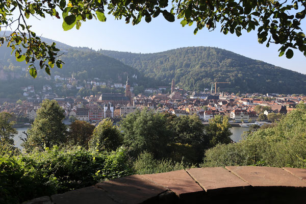 Aussichtsterrasse am Schlangenweg