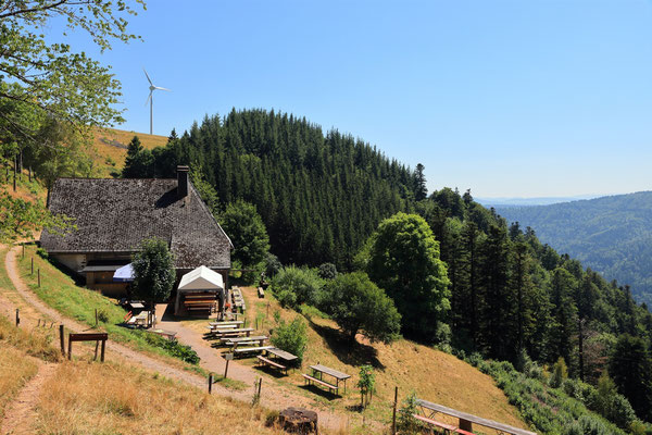 Blick auf die Hintereckhütte