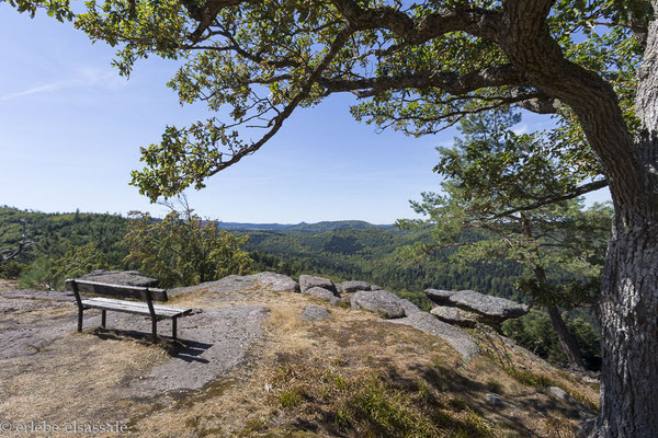 Auf dem Grand Krappenfels nahe der Burg Ochsenstein