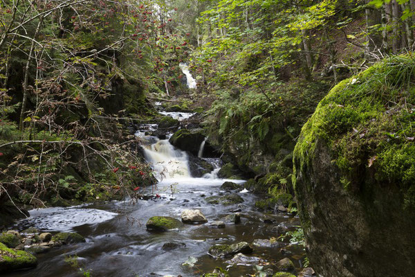 Falkauer Wasserfall der Haslach