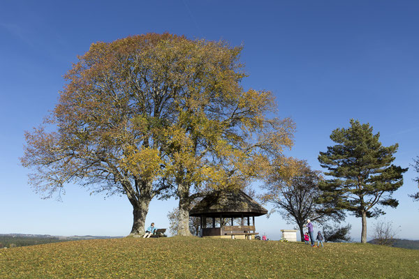 Panoramawege für Senioren Südschwarzwald - Gupfen