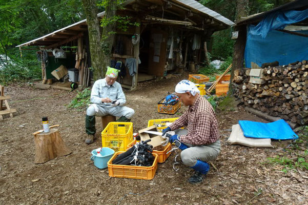 鋸・剪定鋏等作業容疑の手入れをする