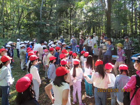 大勢の子供達がパウロの森を探検しました