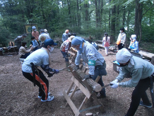 材の輪切り作業：広葉樹（クヌギ）はスギより堅くなかなか切れません