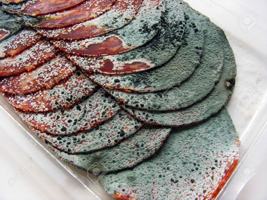 Tranches de saucisson moisies.