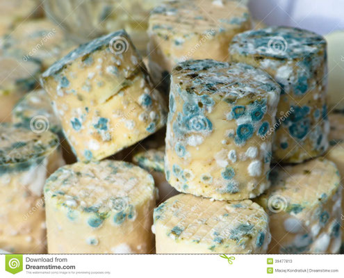 Fromages recouverts d'une couche de moisissures vertes (Penicilium).