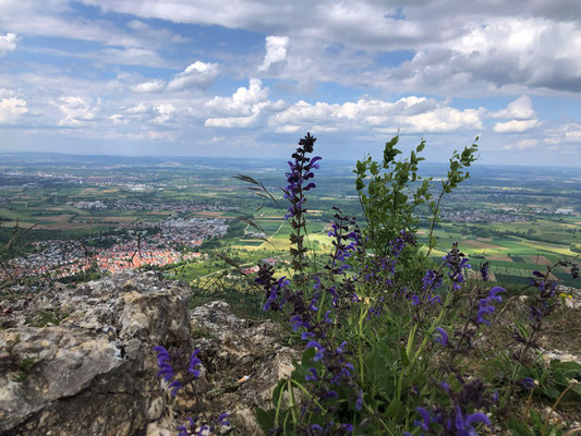Blick vom Breitenstein