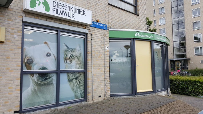 dierenkliniek filmwijk raambelettering raamreclame raambestickering melkglasbelettering melkglasreclame