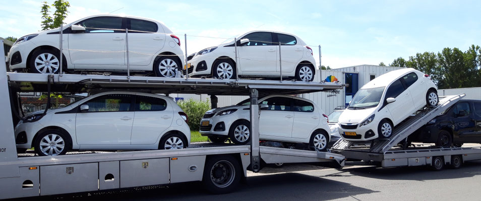 Zorgfix voor belettering