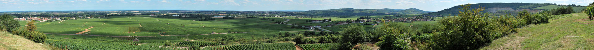 View from the top of le Montrachet Grand Cru