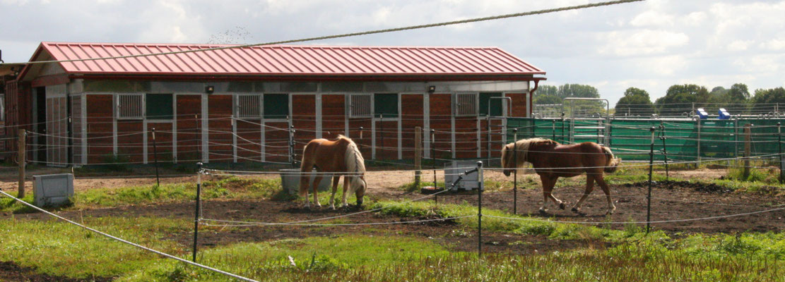 Hengststall Seyr