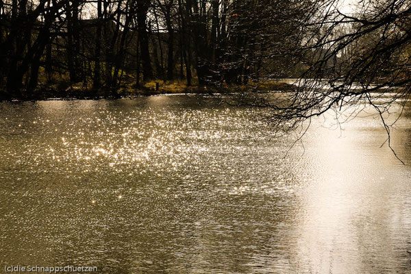 Elberadweg - Abendglitzern der Elbe | Reiseblog by (c) die Schnappschützen 