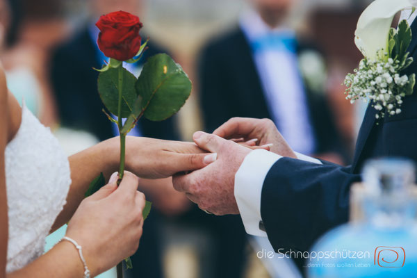 Die große Liebe heiraten, nichts schönes als das | (c) die Schnappschützen | #großeliebe #hochzeitsfotografie #hoczeitsreportage #storytelling #hochzeitsfotograf #weddingphotography #zülpichersee #strandhochzeit